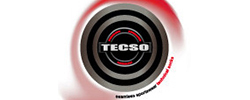 Tecso