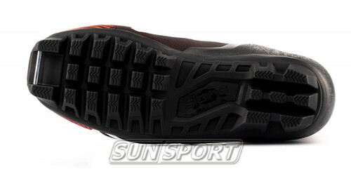   Alpina Comp Skate (,  6)