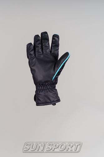  NordSki Arctic  / (,  2)