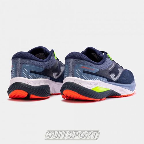   Joma M R.Hispalis / (,  2)