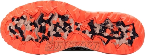   361 M Camino WP / (,  2)