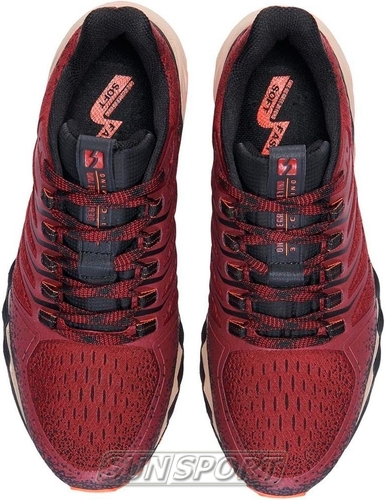   361 M Camino WP / (,  3)