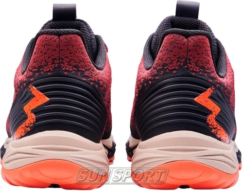   361 M Camino WP / (,  4)