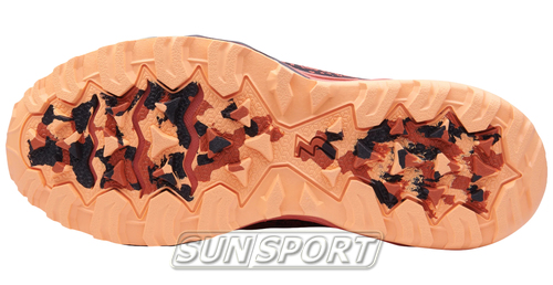   361 W Camino WP / (,  2)