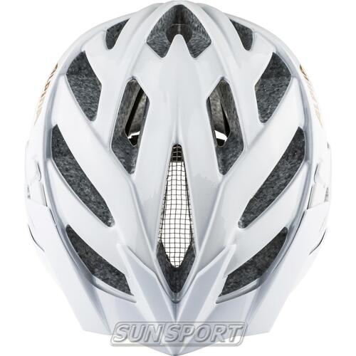   Alpina Panoma Classic / (,  1)