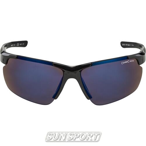 Очки Alpina Defey Hr (вид 1) Очки Alpina Defey Hr (фото, вид 1)