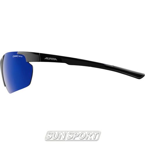 Очки Alpina Defey Hr (вид 2) Очки Alpina Defey Hr (фото, вид 2)
