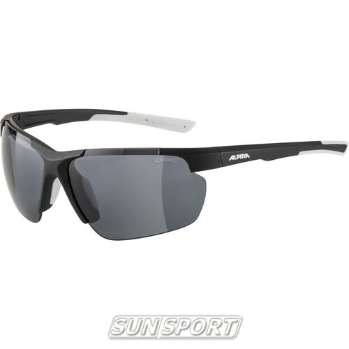 Очки Alpina Defey Hr (вид 4) Очки Alpina Defey Hr (фото, вид 4)