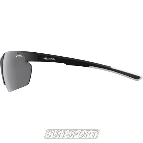 Очки Alpina Defey Hr (вид 6) Очки Alpina Defey Hr (фото, вид 6)