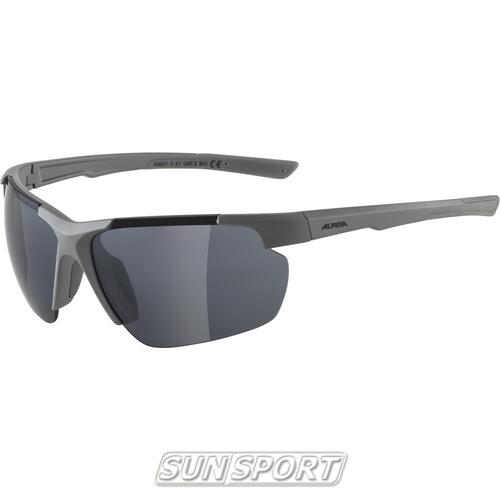 Очки Alpina Defey Hr (вид 8) Очки Alpina Defey Hr (фото, вид 8)