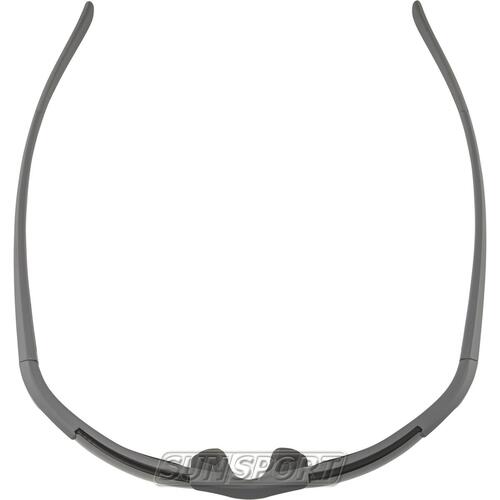 Очки Alpina Defey Hr (вид 11) Очки Alpina Defey Hr (фото, вид 11)