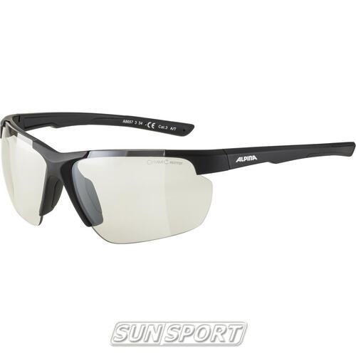 Очки Alpina Defey Hr (вид 12) Очки Alpina Defey Hr (фото, вид 12)