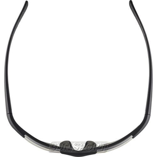 Очки Alpina Defey Hr (вид 15) Очки Alpina Defey Hr (фото, вид 15)