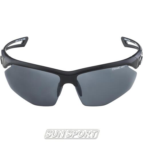 Очки Alpina Nylos Hr (вид 1) Очки Alpina Nylos Hr (фото, вид 1)