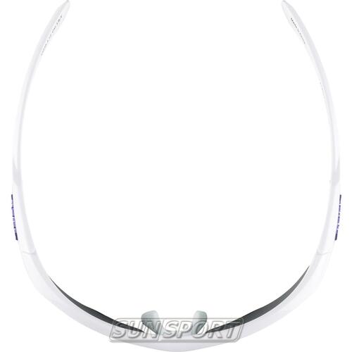 Очки Alpina Nylos Hr (вид 11) Очки Alpina Nylos Hr (фото, вид 11)