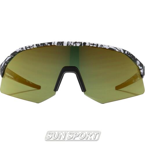 Очки Alpina Sonic Hr Q-Lite (вид 7) Очки Alpina Sonic Hr Q-Lite (фото, вид 7)