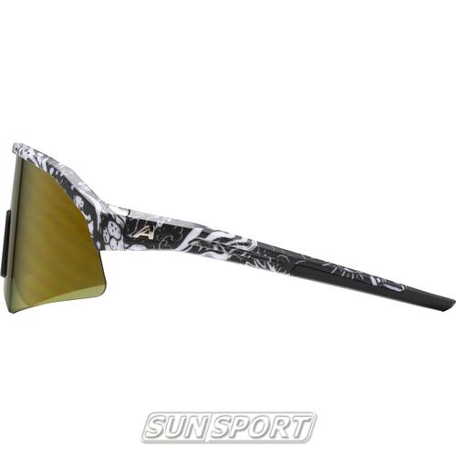 Очки Alpina Sonic Hr Q-Lite (вид 8) Очки Alpina Sonic Hr Q-Lite (фото, вид 8)