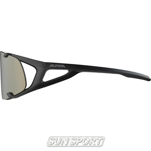  Alpina Hawkeye Q-Lite (,  2)