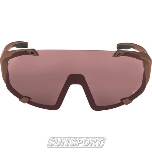  Alpina Hawkeye Q-Lite (,  9)