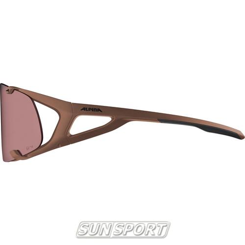  Alpina Hawkeye Q-Lite (,  10)