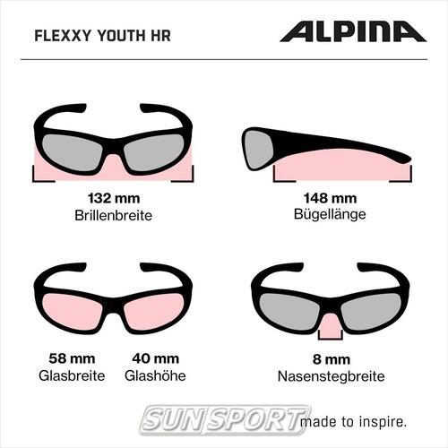 Очки Alpina JR Flexxy Youth Hr (вид 4) Очки Alpina JR Flexxy Youth Hr (фото, вид 4)