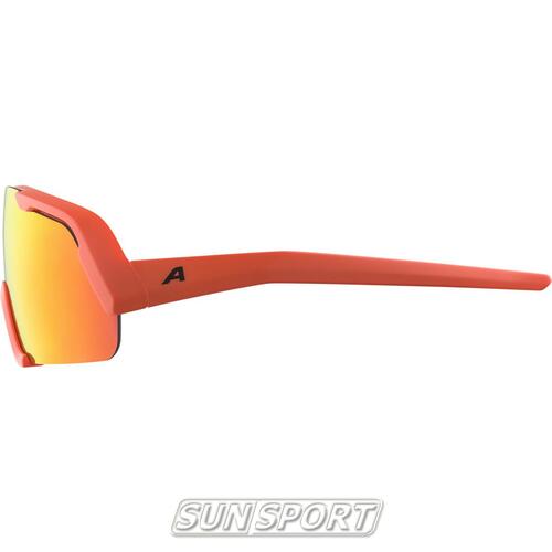 Очки Alpina Rocket Youth (вид 17) Очки Alpina Rocket Youth (фото, вид 17)