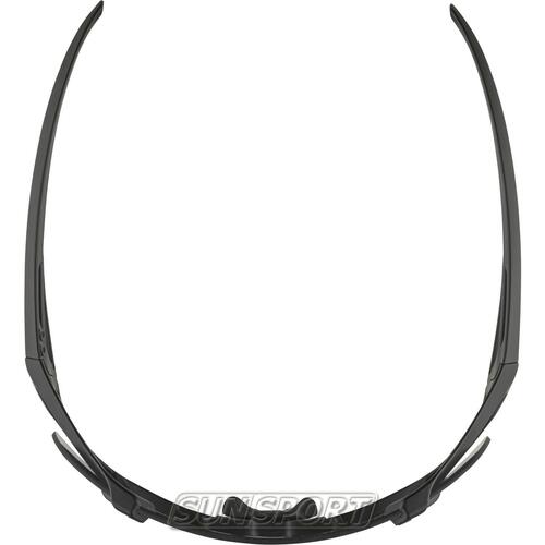 Очки Alpina Hawkeye (вид 3) Очки Alpina Hawkeye (фото, вид 3)