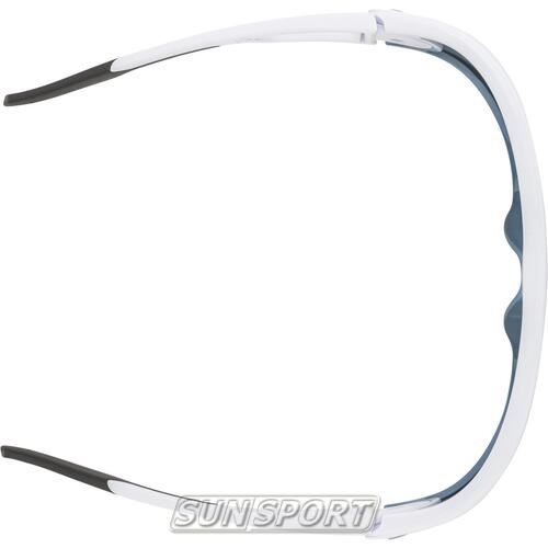 Очки Alpina Legend (вид 2) Очки Alpina Legend (фото, вид 2)