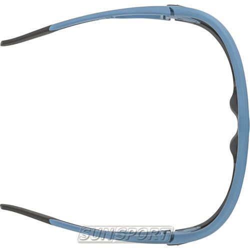 Очки Alpina Legend (вид 5) Очки Alpina Legend (фото, вид 5)