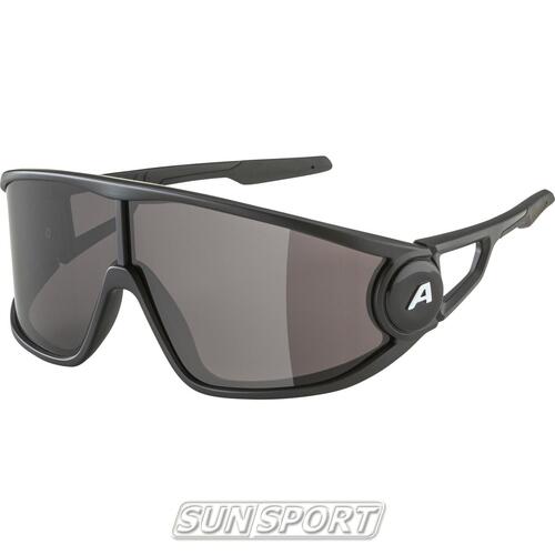 Очки Alpina Legend (вид 6) Очки Alpina Legend (фото, вид 6)