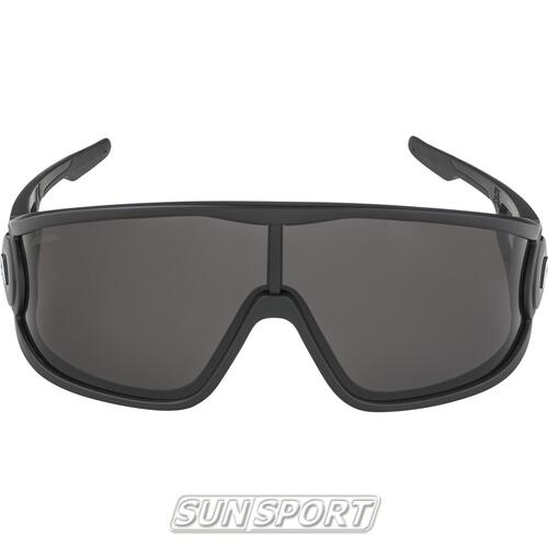 Очки Alpina Legend (вид 7) Очки Alpina Legend (фото, вид 7)