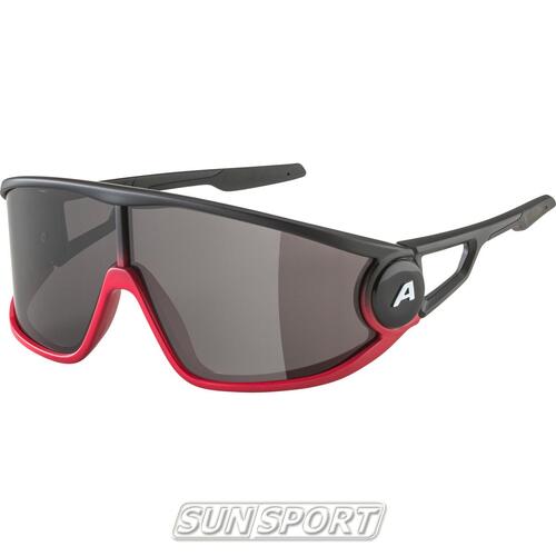 Очки Alpina Legend (вид 9) Очки Alpina Legend (фото, вид 9)