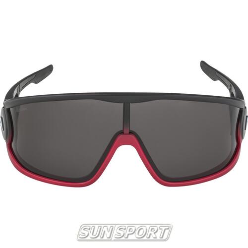 Очки Alpina Legend (вид 10) Очки Alpina Legend (фото, вид 10)