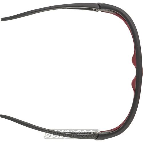 Очки Alpina Legend (вид 11) Очки Alpina Legend (фото, вид 11)