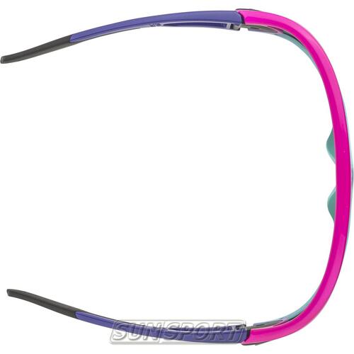 Очки Alpina Legend (вид 14) Очки Alpina Legend (фото, вид 14)