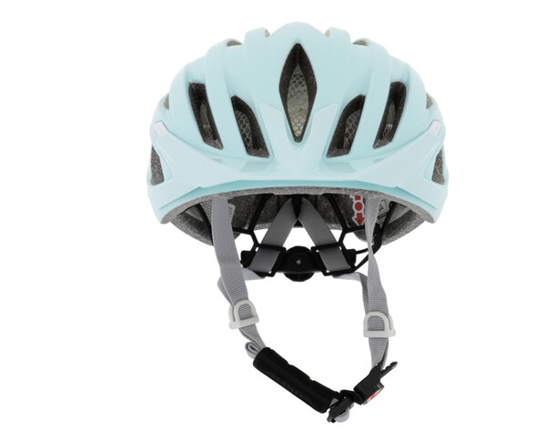   Alpina Parana Pastel  (,  1)