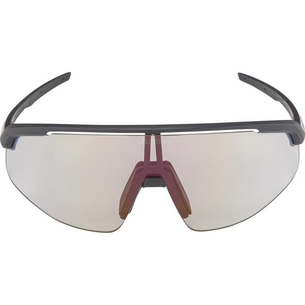  Alpina Turbo Pro V (,  1)