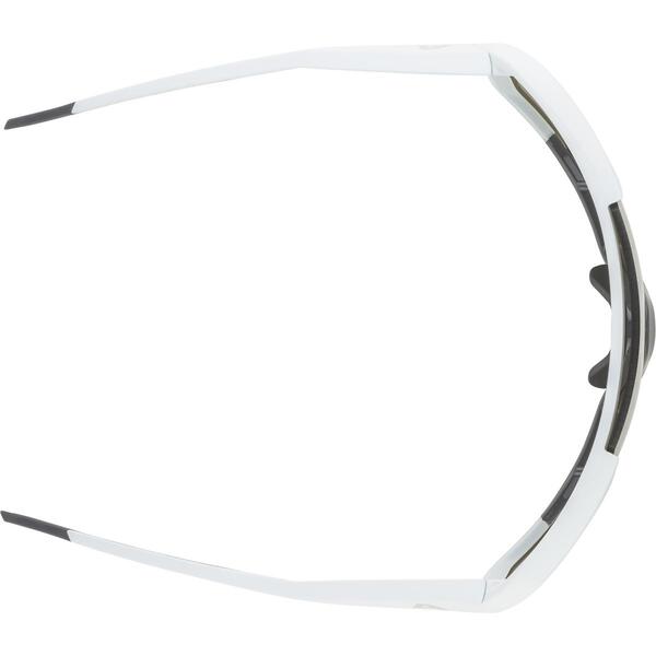  Alpina Rocket Q-Lite (,  2)