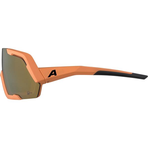  Alpina Rocket Q-Lite (,  12)