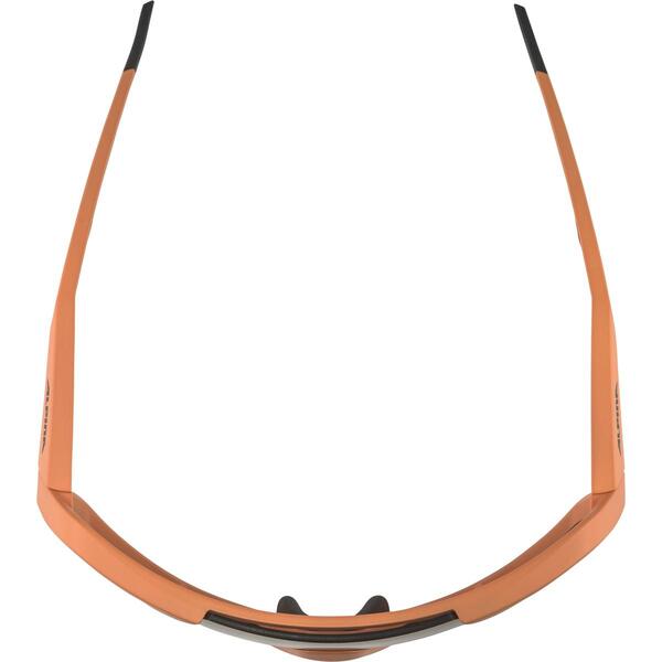  Alpina Rocket Q-Lite (,  13)