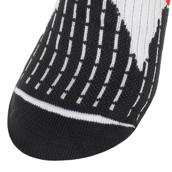   Accapi Skating / (,  5)