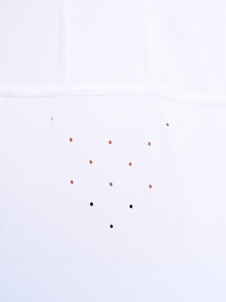  Bivium W  2.0  (,  8)