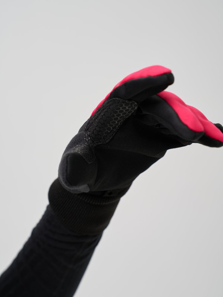  NordSki Motion / (,  2)