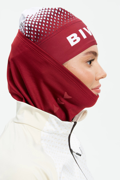 �������-��� Bivium ������ 2.0 �������� (����, ��� 1)