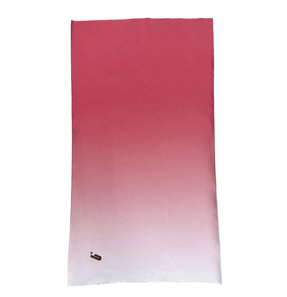 �������-��� Bivium ������� �������� (����, ��� 2)