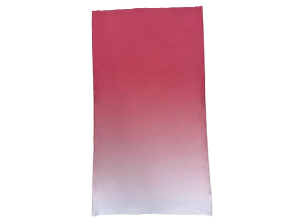 �������-��� Bivium ������� �������� (����, ��� 3)