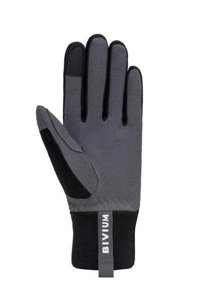 Перчатки Bivium Ski черный (вид 1) Перчатки Bivium Ski черный (фото, вид 1)