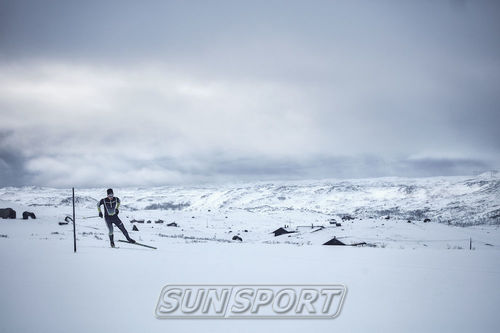   () Craft Pace XC  / (,  3)