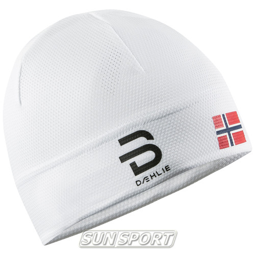  BD Hat Mesh (,  2)