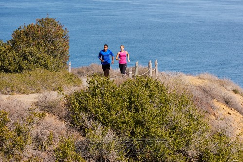   Asics W Scout 2 / (,  6)